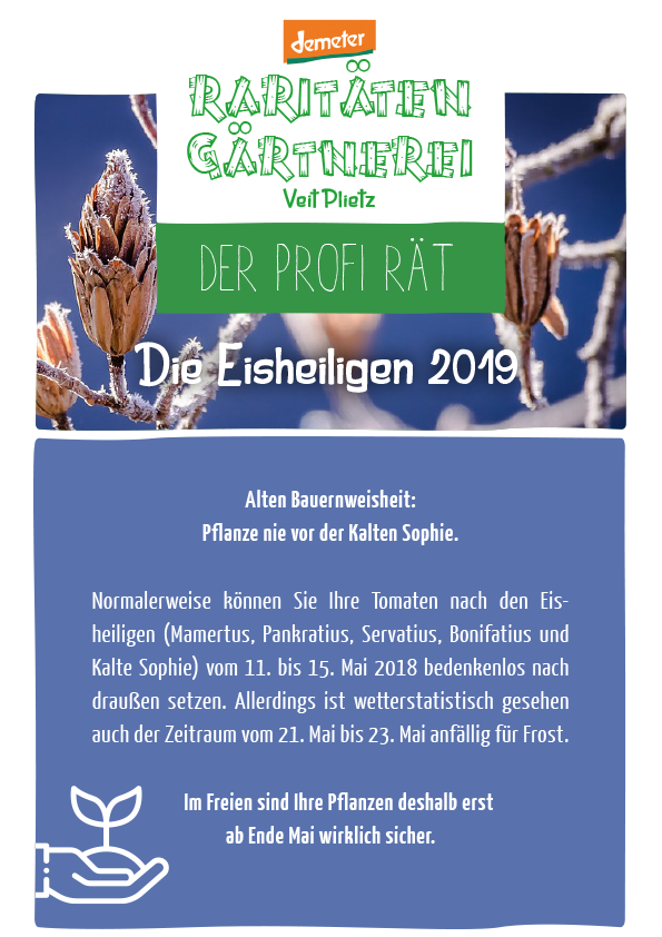 Der Profi rät: Die Eisheiligen