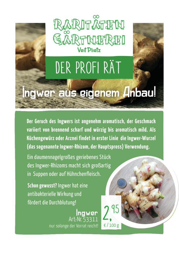 Der Profi rät